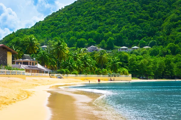 Prachtig strand in Saint Lucia, Caribische eilanden — Stockfoto