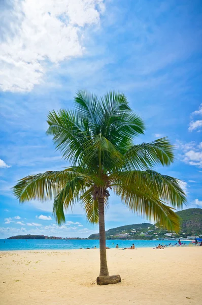 Vacker strand i philipsburg, saint maarten, karibiska öarna — Stockfoto
