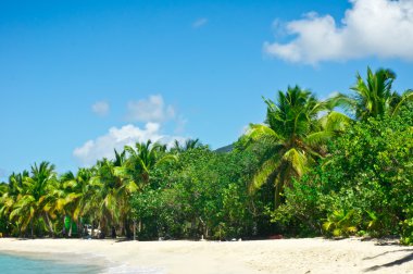 tortola, İngiliz virgin Adaları güzel görünümü