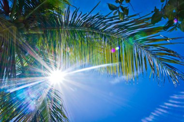 tortola, İngiliz virgin Adaları güzel görünümü