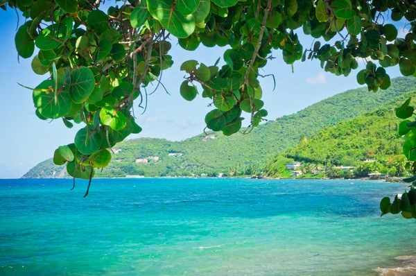 Tortola, İngiliz virgin Adaları güzel görünümü — Stok fotoğraf