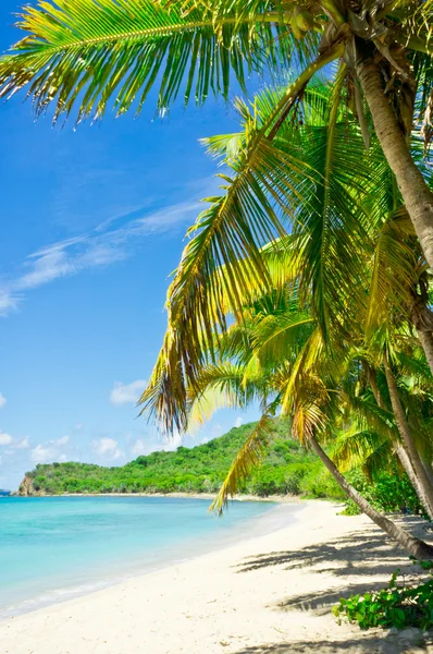 Tortola, İngiliz virgin Adaları güzel görünümü — Stok fotoğraf