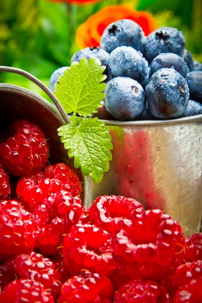 Deliciosas bayas de frutas en metal pequeño cubo — Foto de Stock