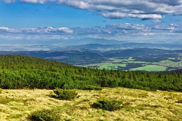 Pohled z stezka na vrchol pilsko z Beskyd, polan — Stock fotografie