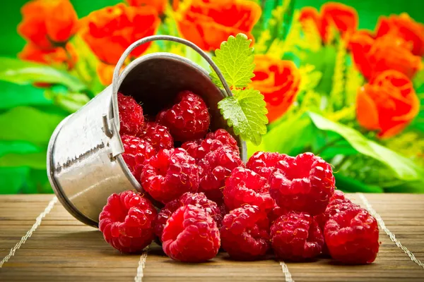 Delicious fruit berries in metal small pail — Stock Photo, Image