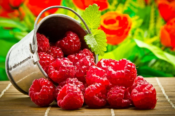 Deliciosas bayas de frutas en metal pequeño cubo — Foto de Stock