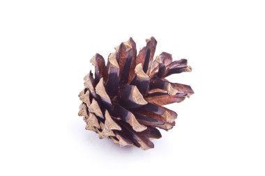 Beyaz arkaplanda koni izole edildi