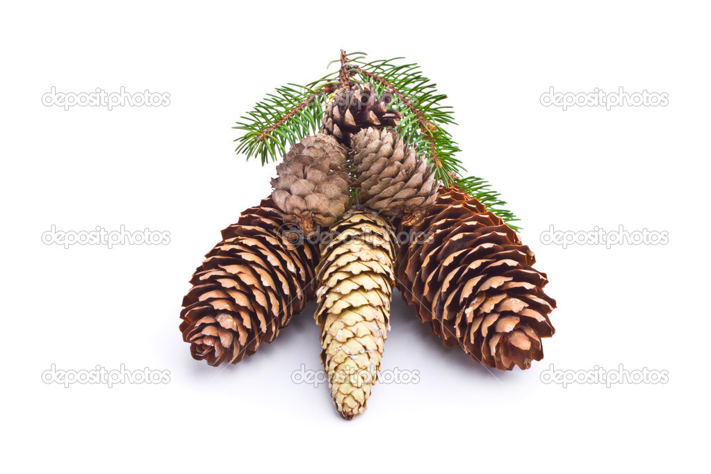 Collection of cones isolated on white background