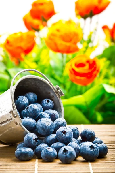 Deliziose bacche di frutta in metallo piccolo secchio — Foto Stock