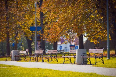 sonbahar bir parkta bankta