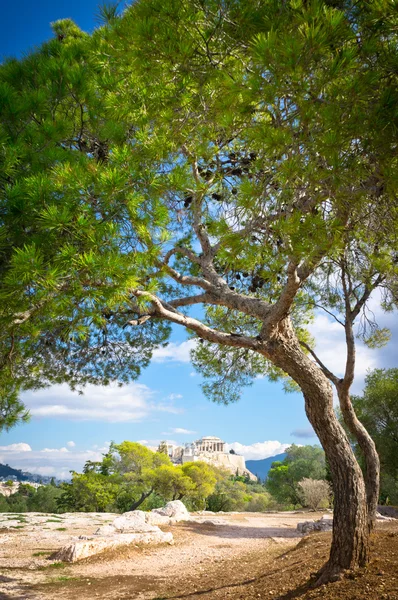 Υπέροχη θέα της αρχαίας ακρόπολης, Αθήνα, Ελλάδα — Φωτογραφία Αρχείου