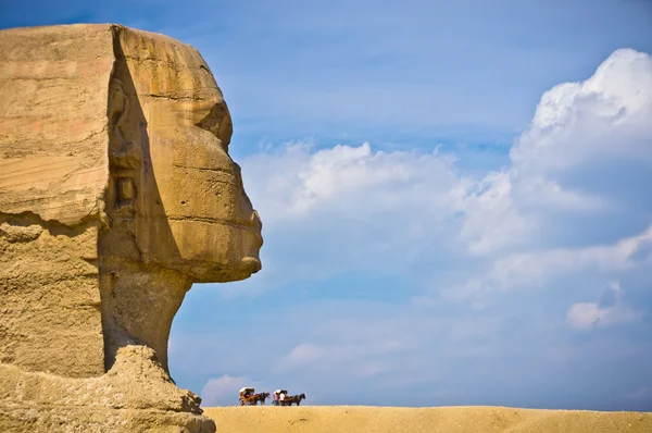 Av sfinxen i giza, Egypten — Stockfoto
