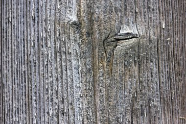 eski ahşap antika arka plan doku