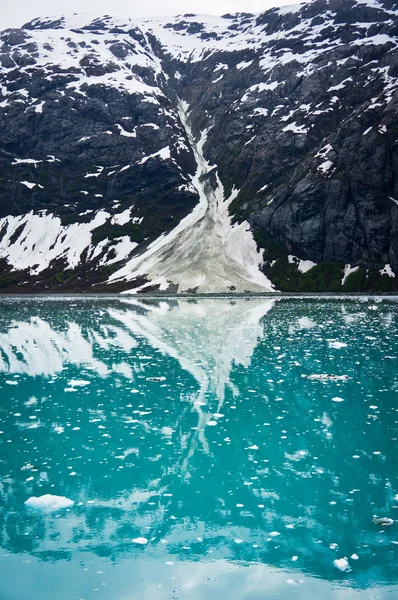 在美国阿拉斯加州山区的冰川湾 — 图库照片