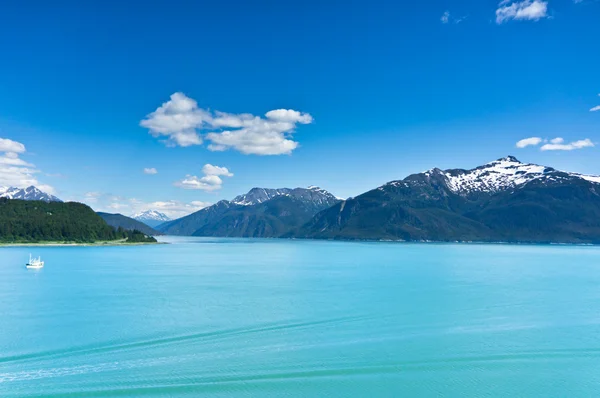Piękny widok, haines City w pobliżu glacier bay, alaska, Stany Zjednoczone Ameryki — Zdjęcie stockowe
