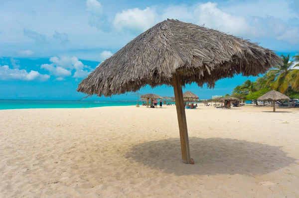 Prachtig strand in aruba, Caribische eilanden, kleine Antillen — Stockfoto