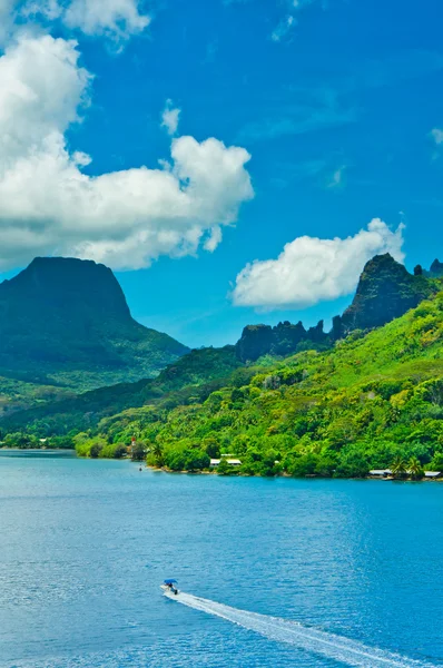 Paradiesische Aussicht auf Moorea-Inseln, Kochbucht, Französisch-Polynesien — Stockfoto