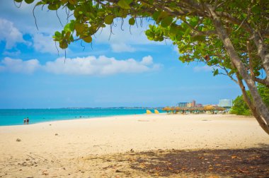 güzel bir plaj Aruba, Karayip Adaları, küçük Antiller