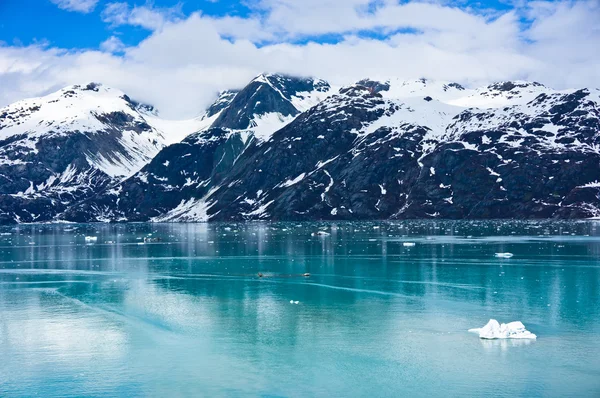 アラスカ州, アメリカ合衆国の山の氷河湾 — ストック写真