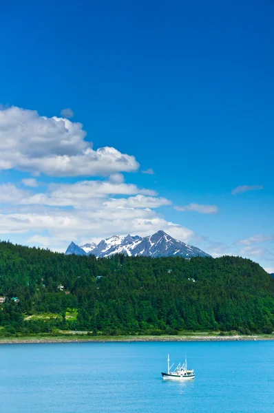 Schöne Aussicht auf haines Stadt in der Nähe Gletscherbucht, alaska, usa — Stockfoto