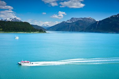 haines city glacier bay, alaska, usa yakınındaki güzel görünümü