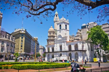 Beautiful view of Buenos Aires capital of Argentina clipart