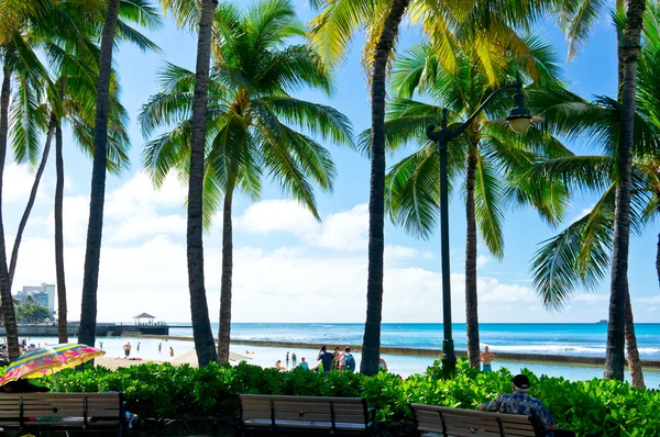 Hermosa vista de Honolulu, Hawaii, Estados Unidos — Foto de Stock