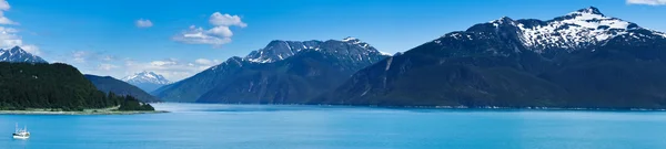 Bela vista da cidade de Haines perto de Glacier Bay, Alasca, EUA — Fotografia de Stock