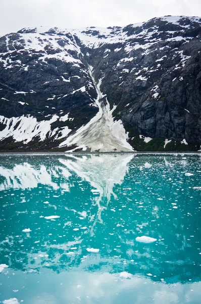 在美国阿拉斯加州山区的冰川湾 — 图库照片