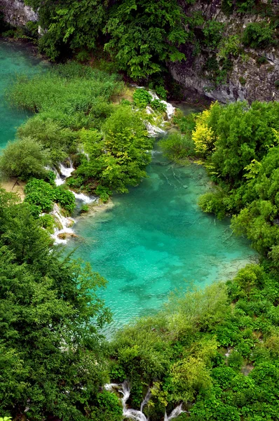 Lago no parque nacional kravica (croácia ) — Fotografia de Stock