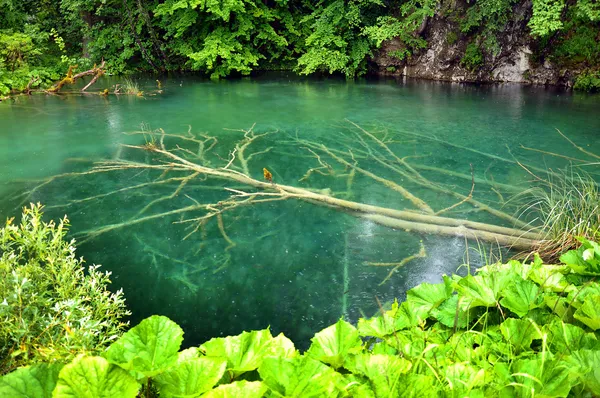 Lago no parque nacional kravica (croácia ) — Fotografia de Stock