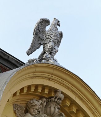 Gümüş eagle