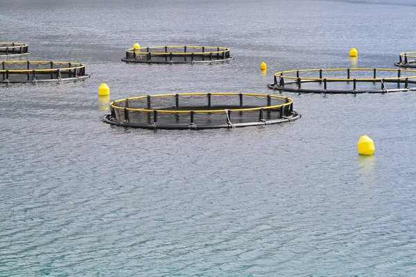 Aquaculture nets — Stock Photo, Image
