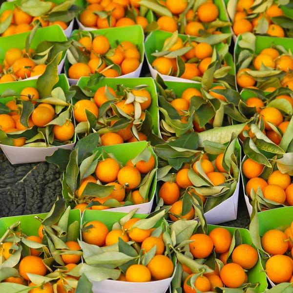 Kumquats. — Fotografia de Stock