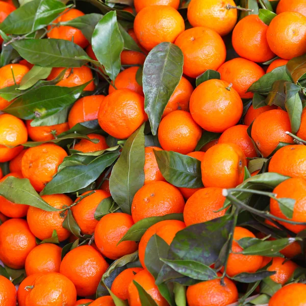 Tangerines — Stock Photo, Image