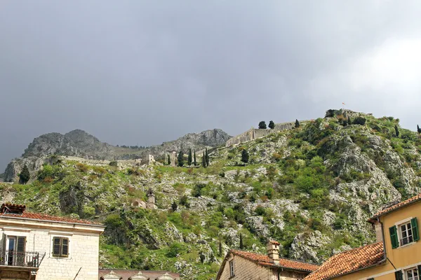 Kotor castle — Stock Photo, Image