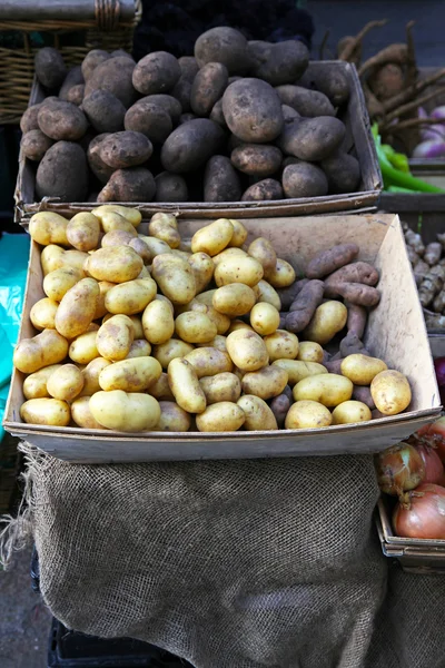 Kartoffeln — Stockfoto