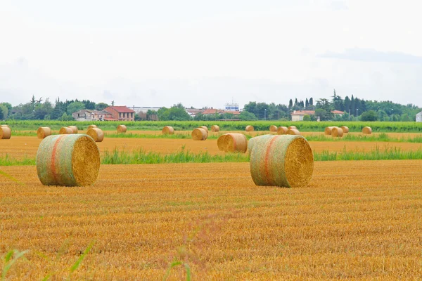 Haystack rolling — Stock Photo, Image