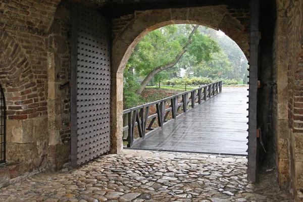 Porte du donjon — Photo