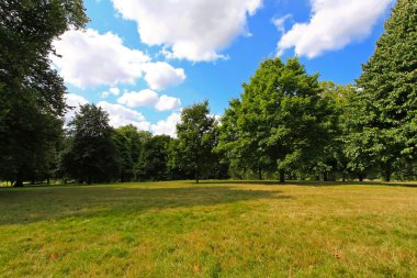 Park çayır