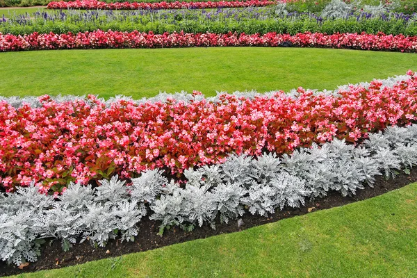 Flower park — Stock Photo, Image