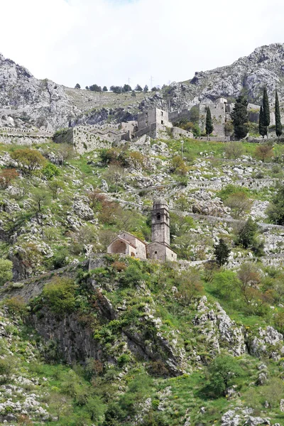 Kotor kyrka — Stockfoto