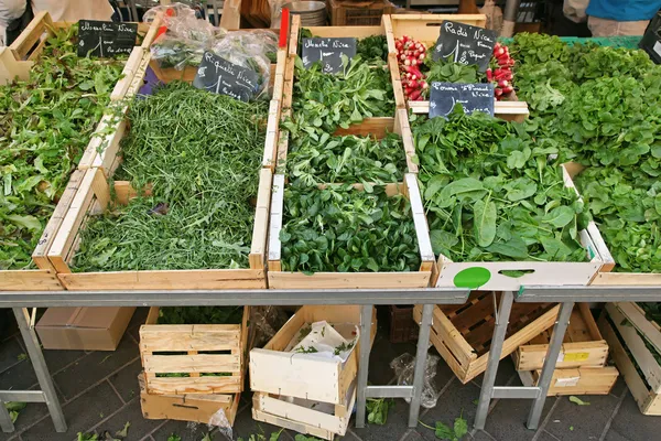 Green vegetables — Stock Photo, Image