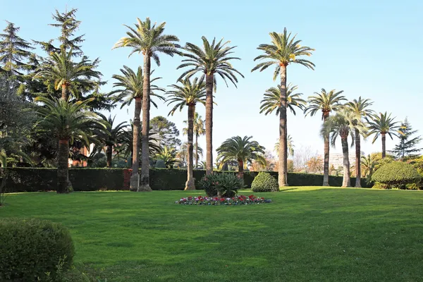 Giardino mediterraneo — Foto Stock