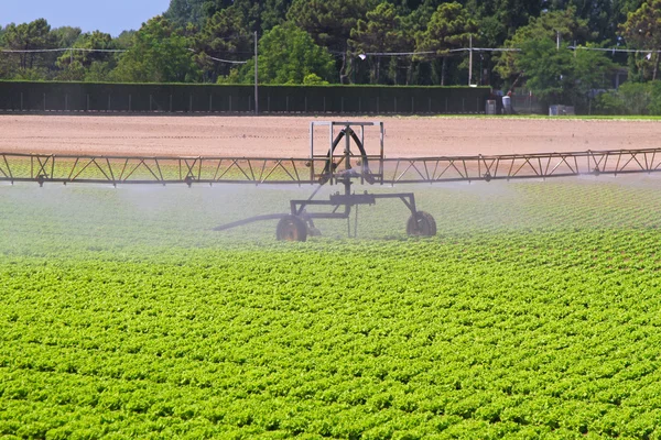 水潅漑のスプリンクラー — ストック写真