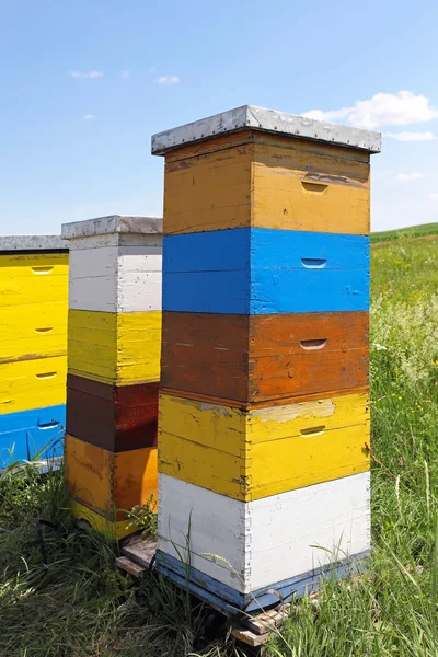 Bijenkorf — Stockfoto