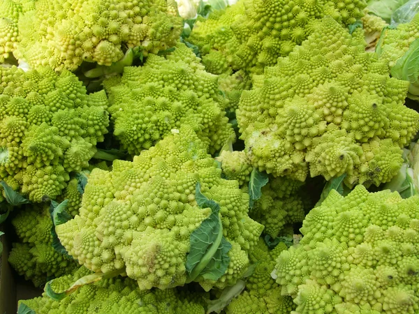 Romanesco brokuły — Zdjęcie stockowe