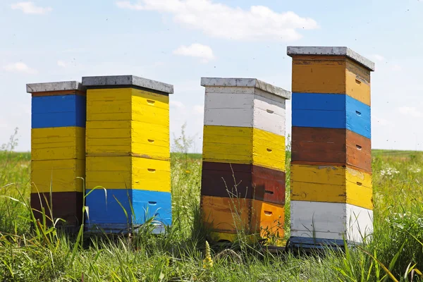 Colmeias de abelhas — Fotografia de Stock