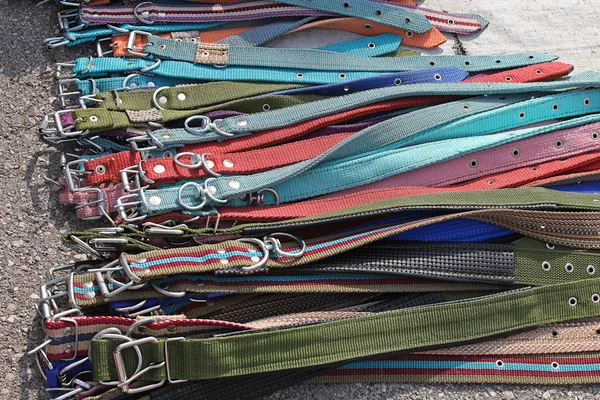 Dog collars — Stockfoto