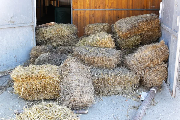 干し草の馬小屋 — ストック写真